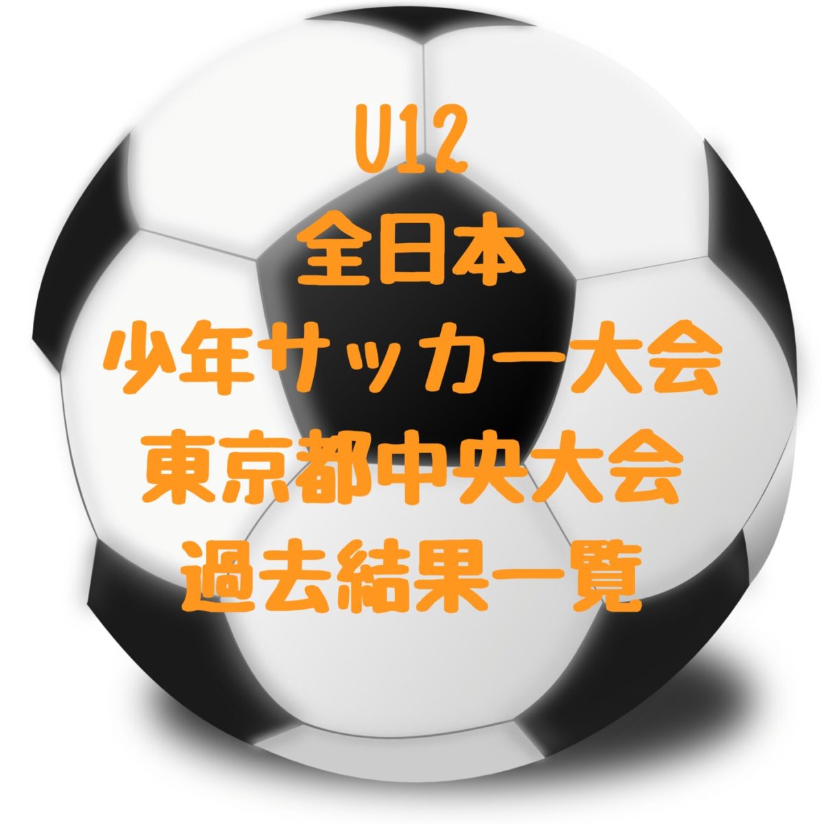 全日本少年サッカー大会 東京都中央大会 過去結果一覧