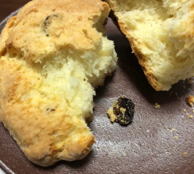 コストコアイリッシュスコーンレーズン