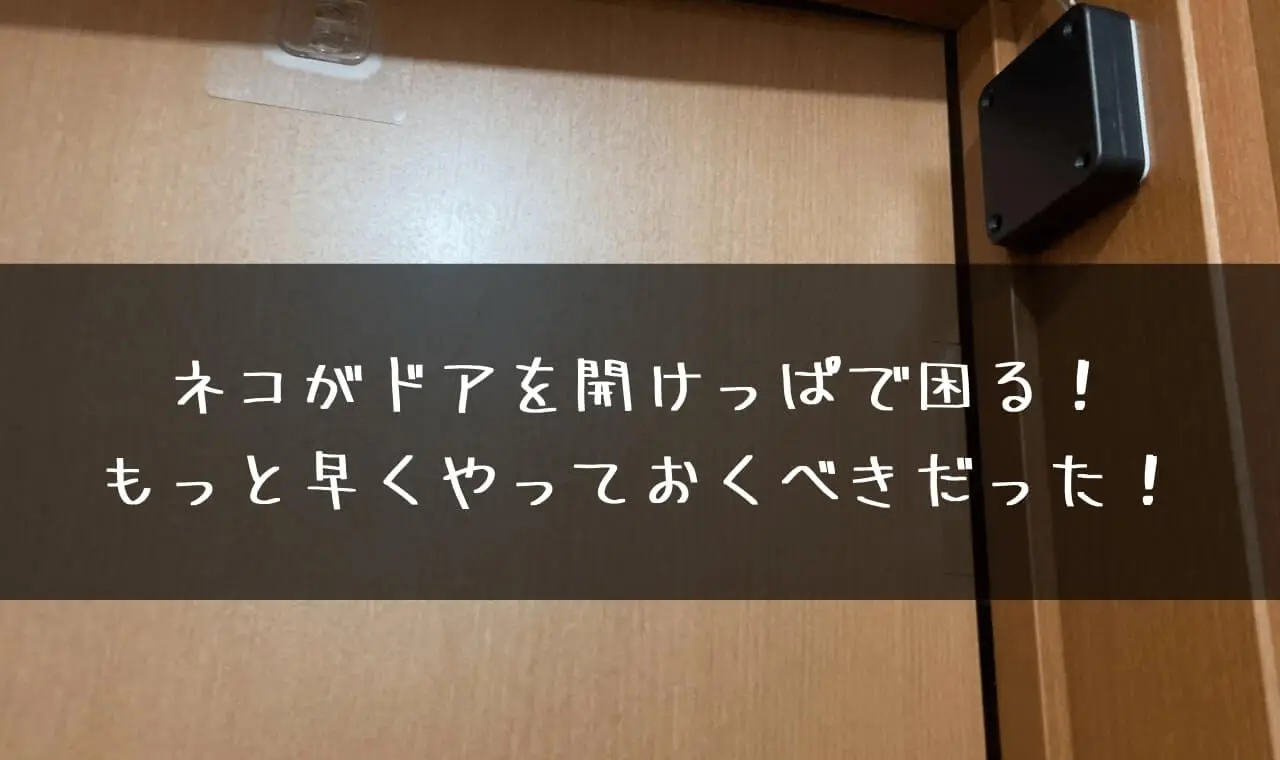 ネコがドアを開けっぱなし　対策